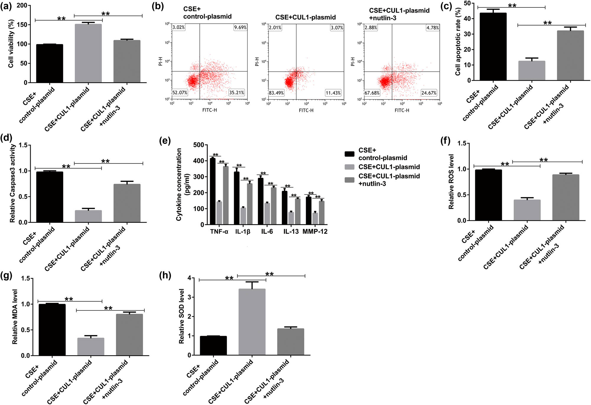 Figure 7
The effects of CUL1 and nutlin-3 on CSE-induced mPMECs. (a) Viability of mPMECs detected by MTT assay. (b and c) Apoptosis of mPMECs detected by flow cytometry assay. (d) Caspase-3 activity in mPMECs. (e) Secretion of TNF-α, IL-1β, IL-6, IL-13, and MMP-12 in mPMECs. (f–h) ROS, MDA, and SOD levels detected by the corresponding kit. **P < 0.01. CSE, cigarette smoke extract; CUL1, cullin-1; IL-1β, interleukin-1β; IL-6, interleukin-6; IL-13, interleukin-13; MDA, malondialdehyde; MMP-12, matrix metalloproteinase-12; mPMECs, mouse pulmonary microvascular endothelial cells; MTT, 3-(4,5-dimethylthiazol-2-yl)-2,5-diphenyltetrazolium bromide; ROS, reactive oxygen species; SOD, superoxide dismutase; TNF-α, tumor necrosis factor-α.