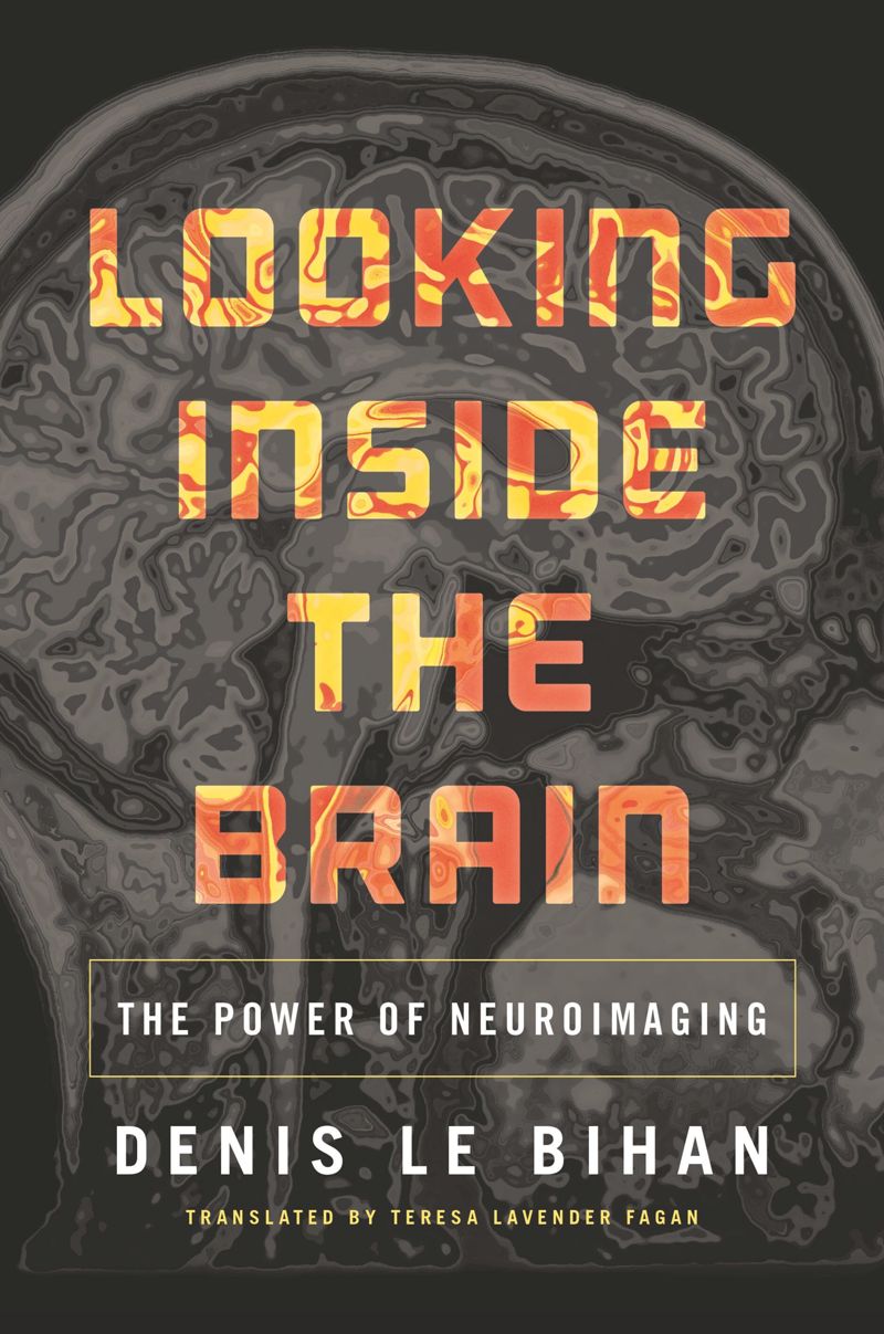 book: Looking Inside the Brain