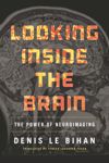 Looking Inside the Brain