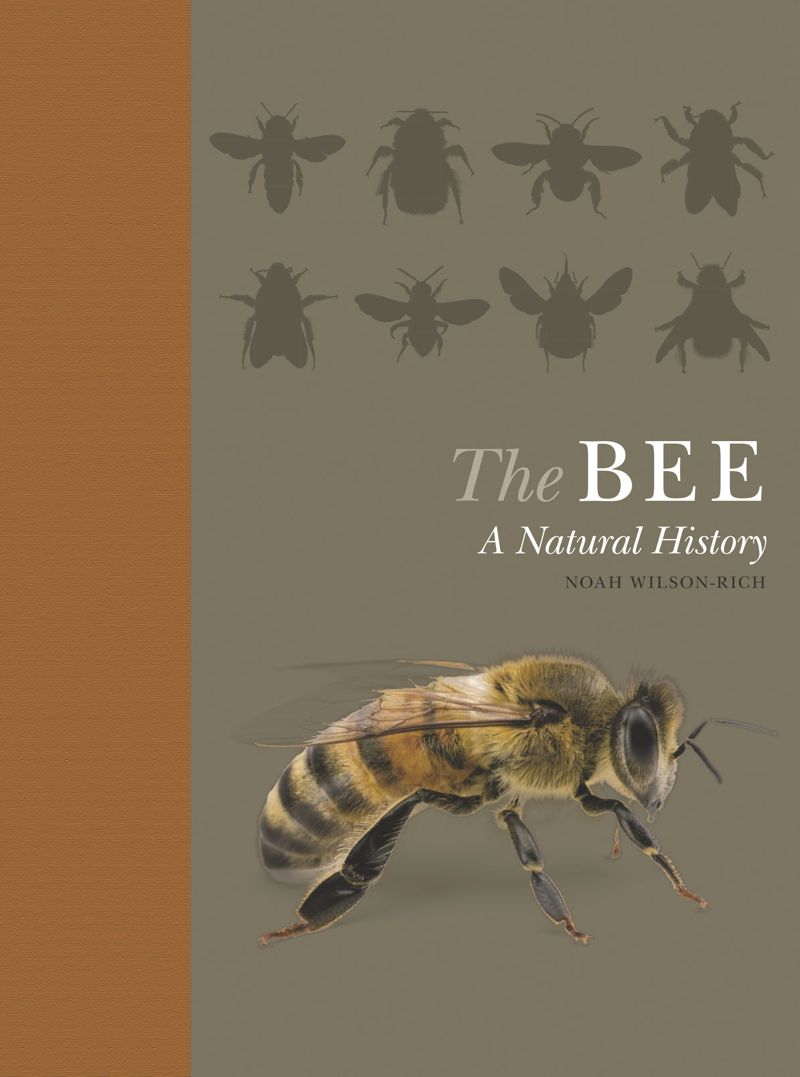 book: The Bee
