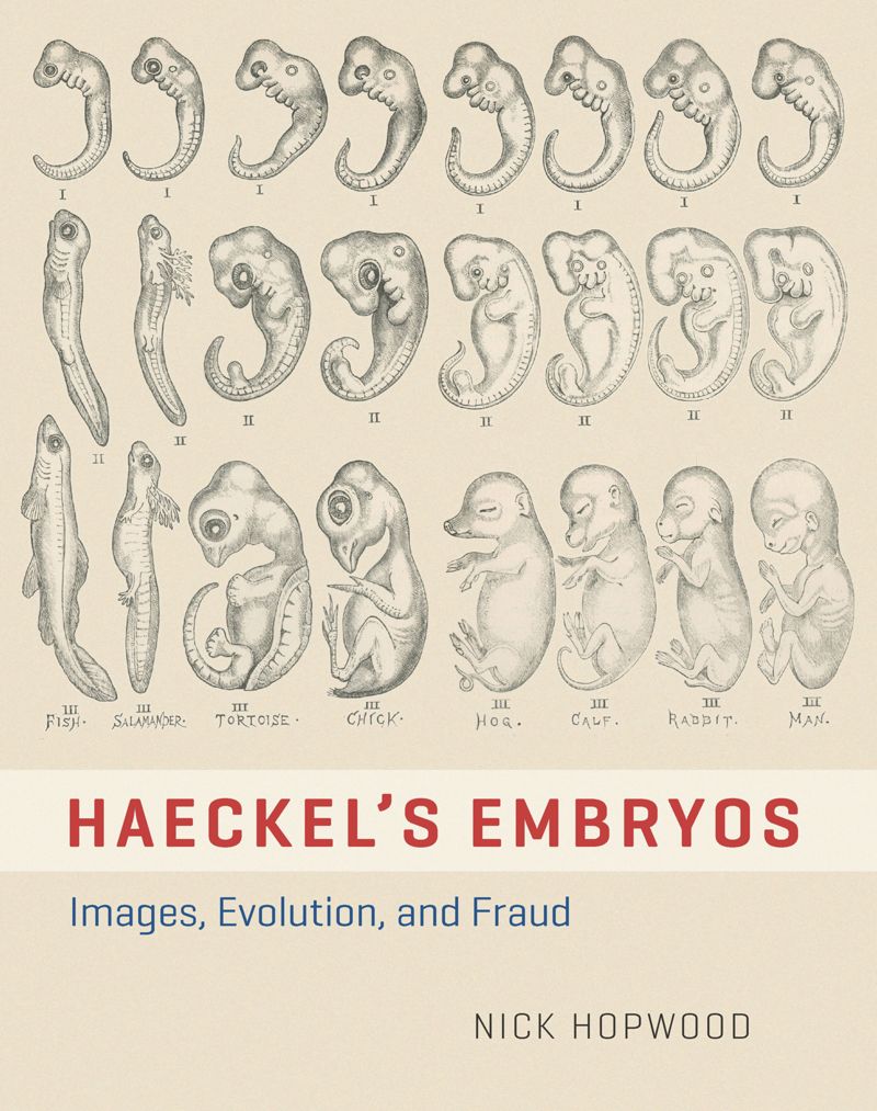 book: Haeckel's Embryos
