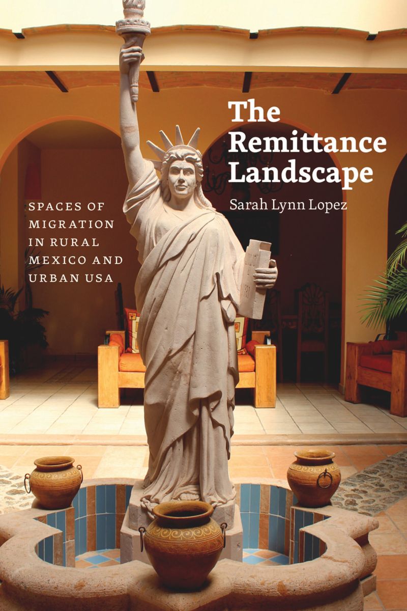 book: The Remittance Landscape