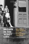 book: Brown in the Windy City