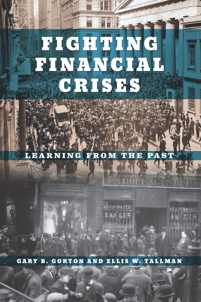 book: Fighting Financial Crises