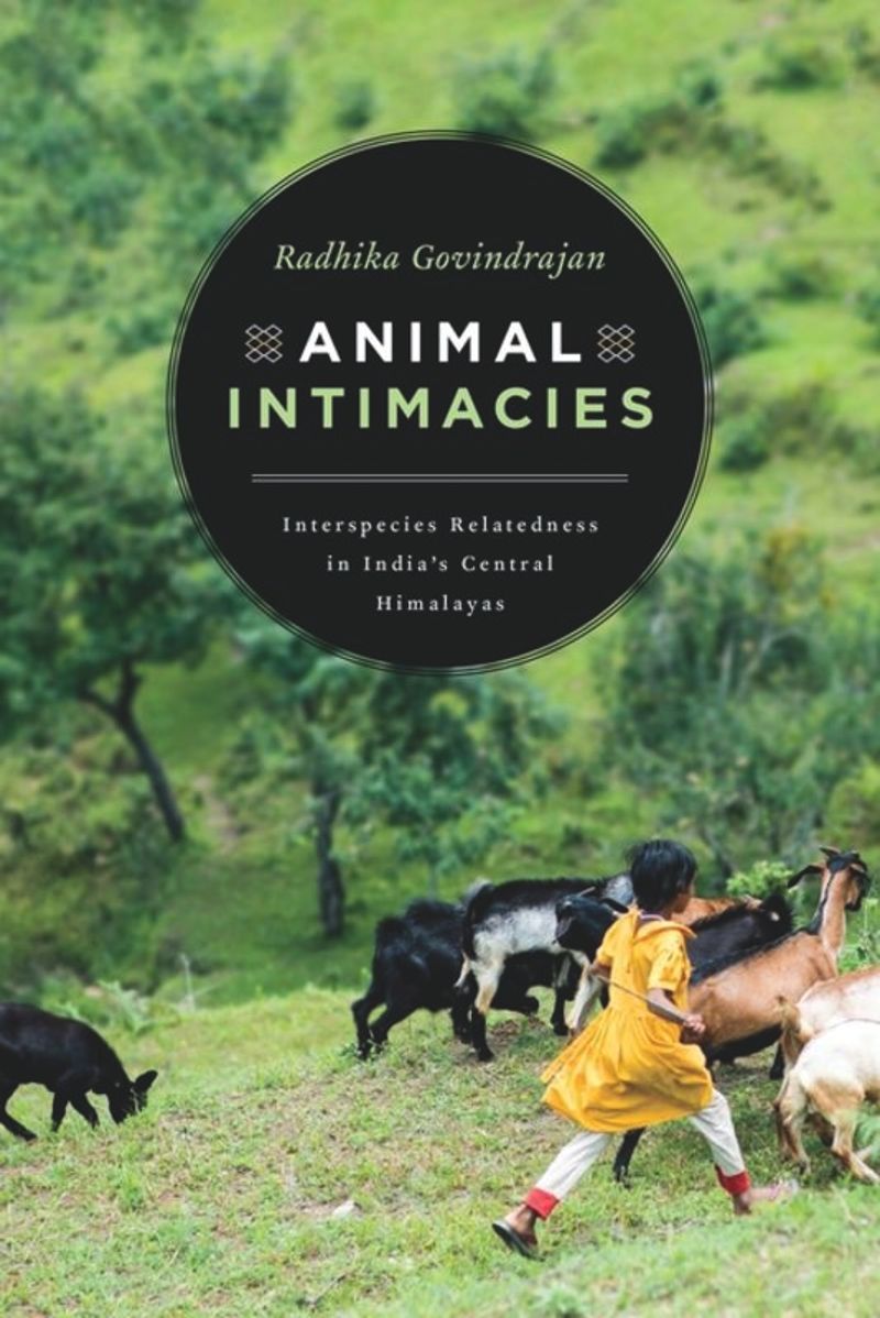 book: Animal Intimacies