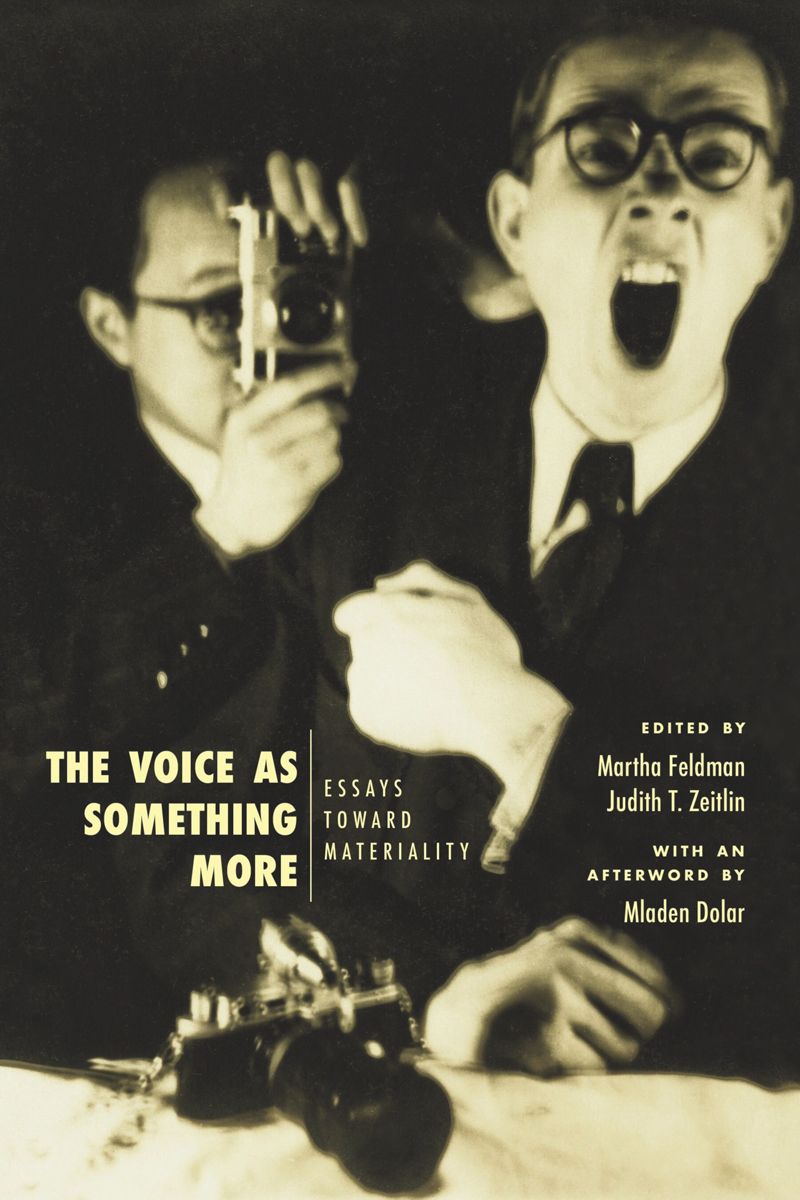 book: The Voice as Something More