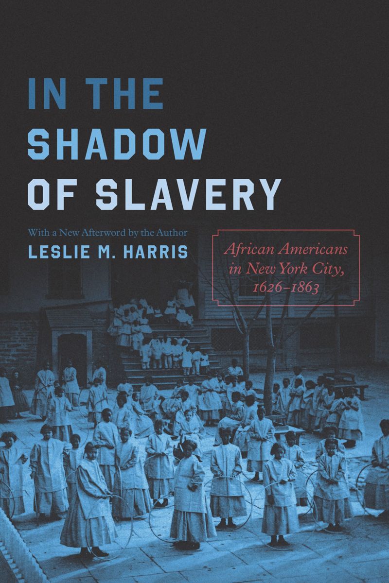 book: In the Shadow of Slavery