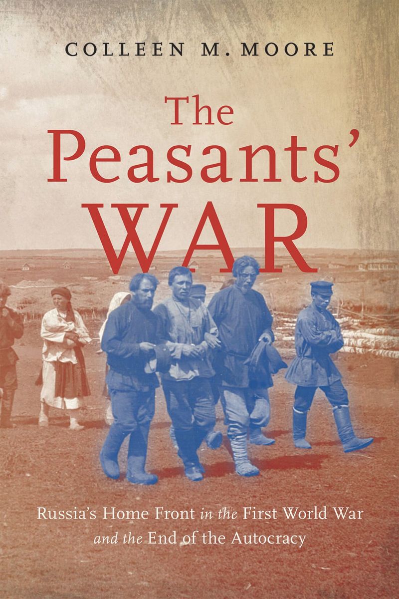 book: The Peasants’ War