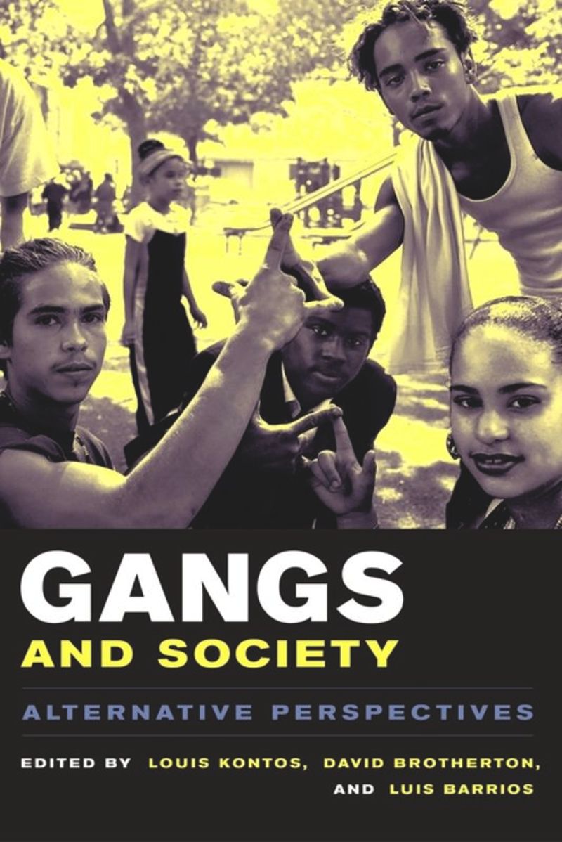 book: Gangs and Society