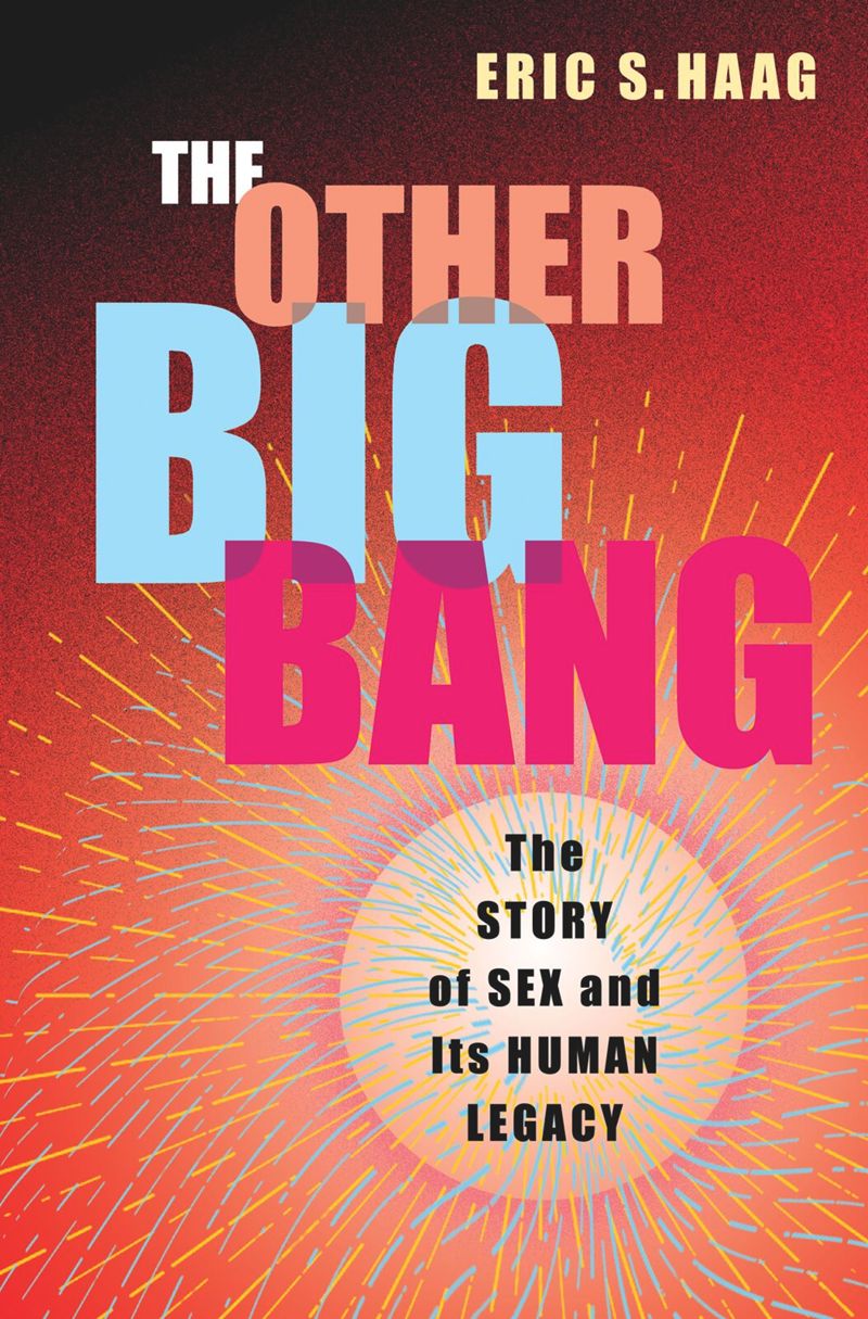 book: The Other Big Bang