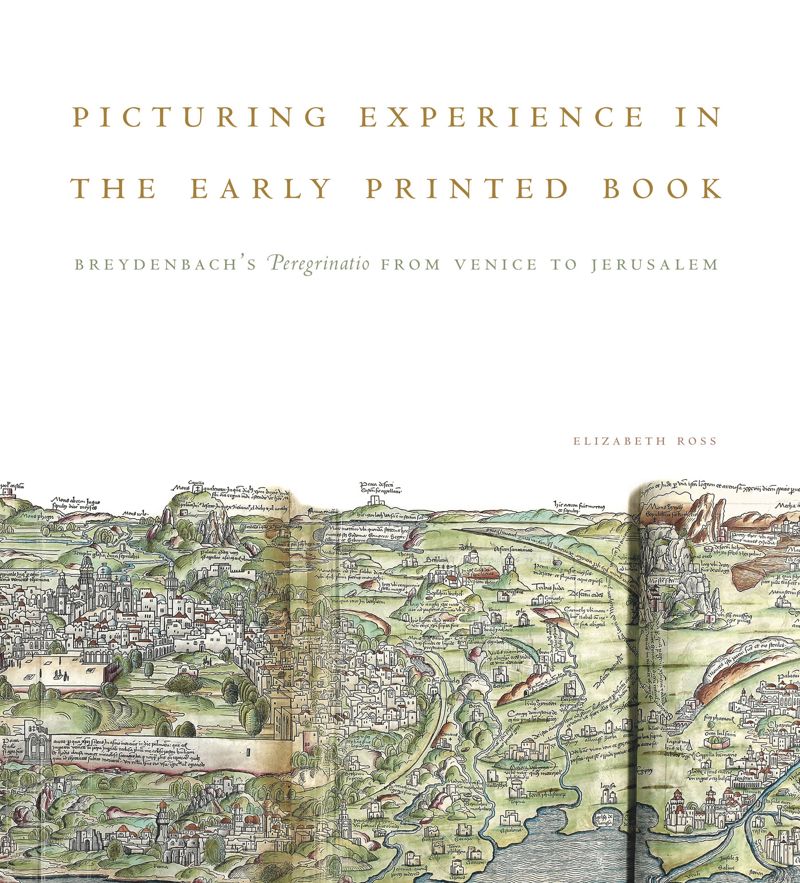 book: Picturing Experience in the Early Printed Book