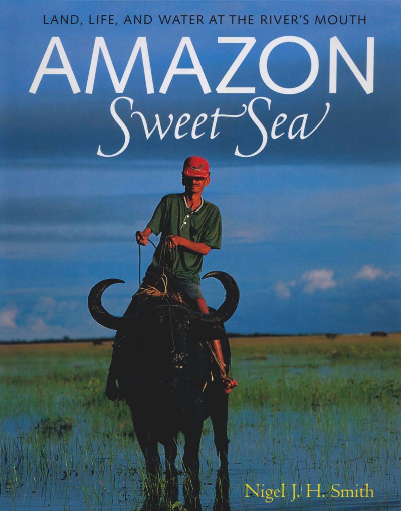 book: Amazon Sweet Sea