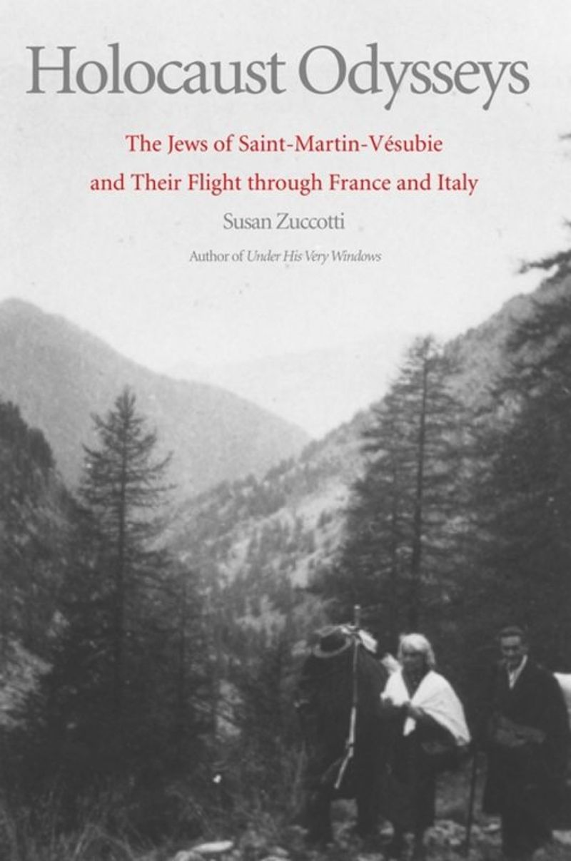 book: Holocaust Odysseys