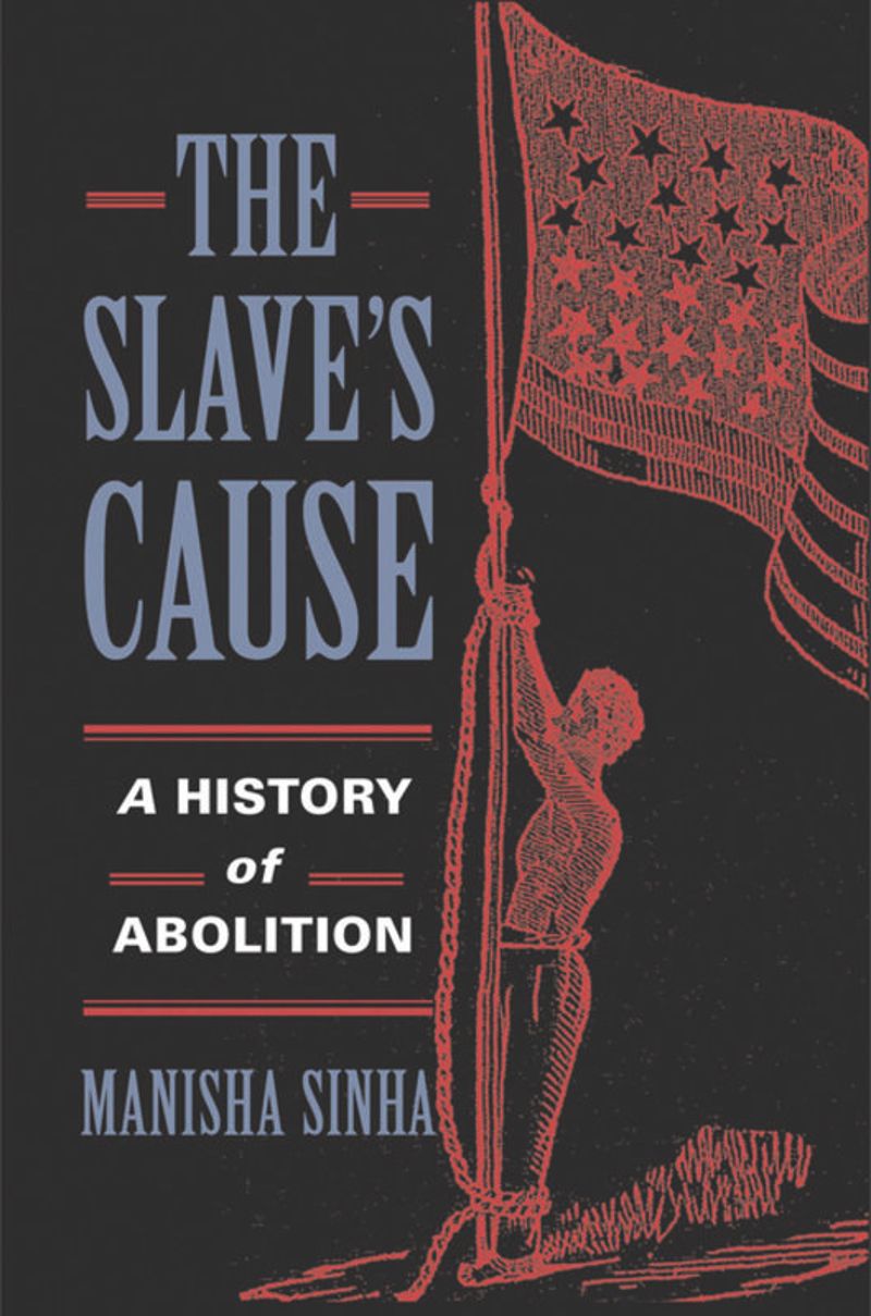 book: The Slave's Cause