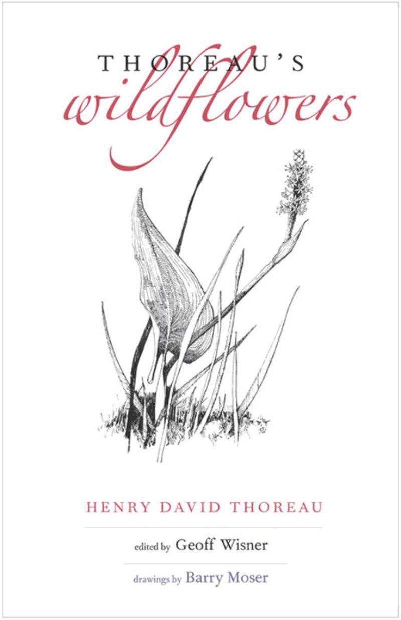 book: Thoreau&#39;s Wildflowers