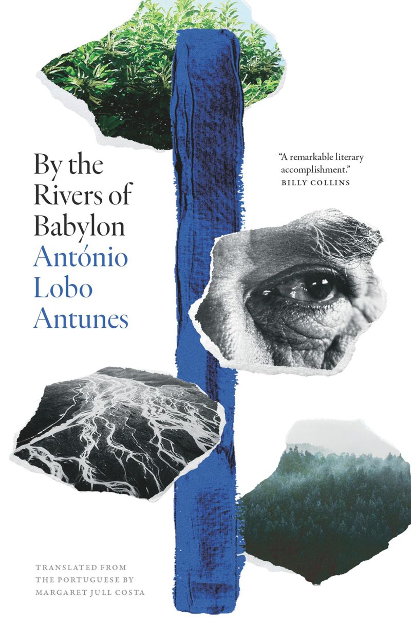 book: By the Rivers of Babylon