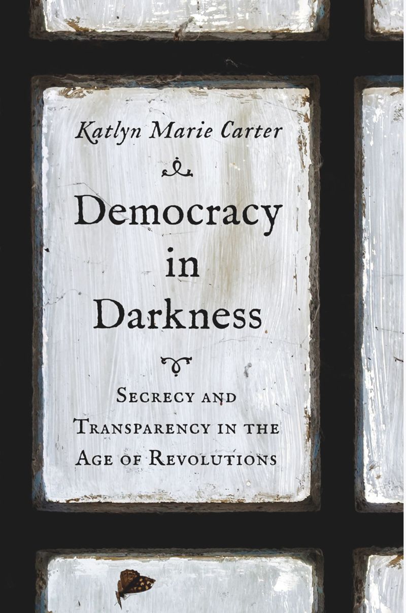book: Democracy in Darkness