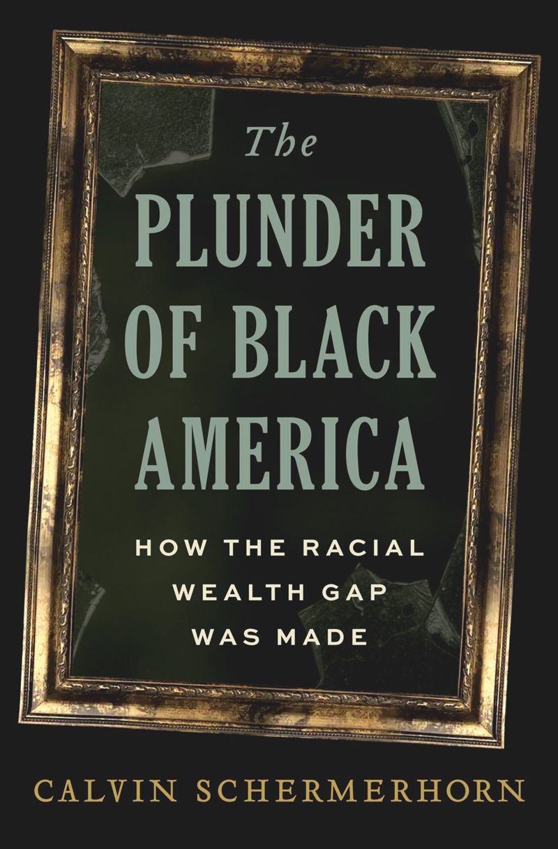 book: The Plunder of Black America