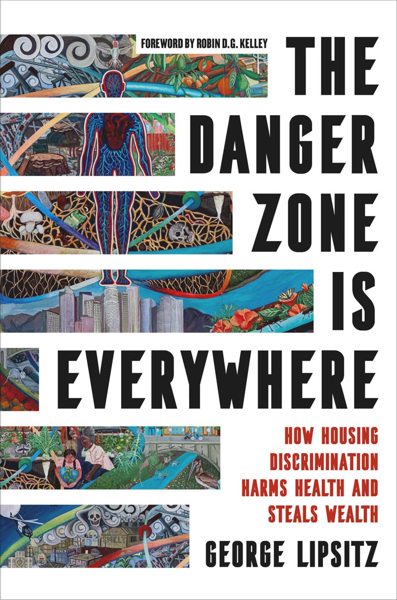 book: The Danger Zone Is Everywhere