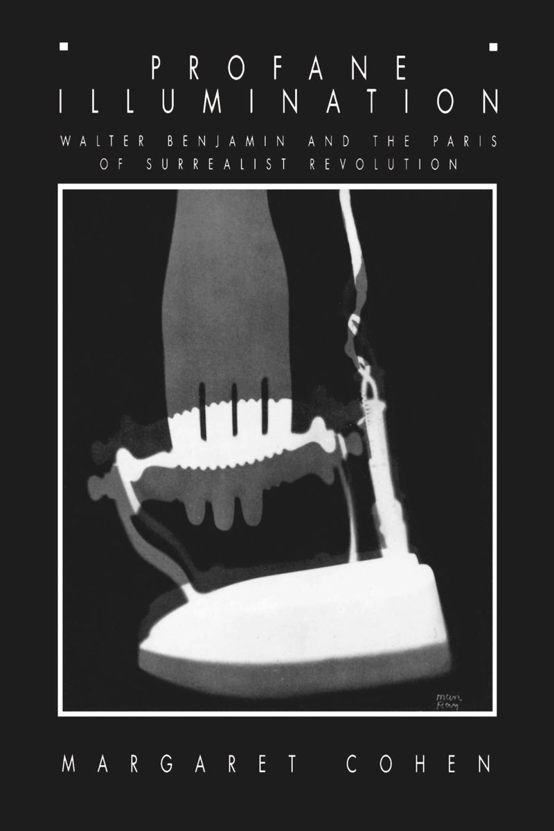 book: Profane Illumination