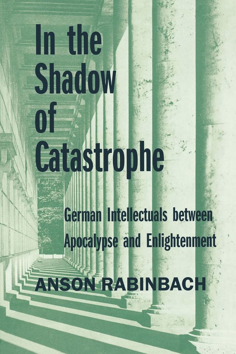 book: In the Shadow of Catastrophe