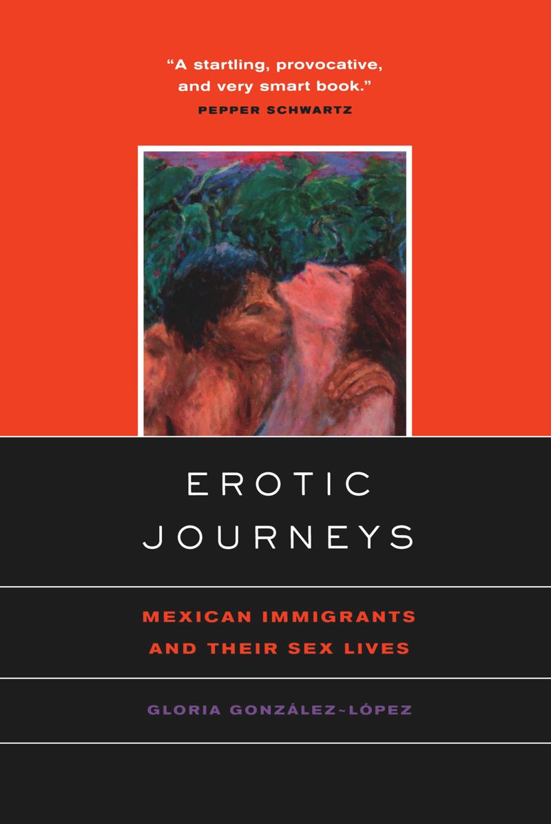 book: Erotic Journeys