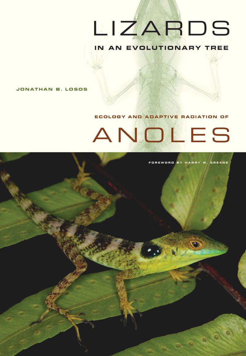 book: Lizards in an Evolutionary Tree