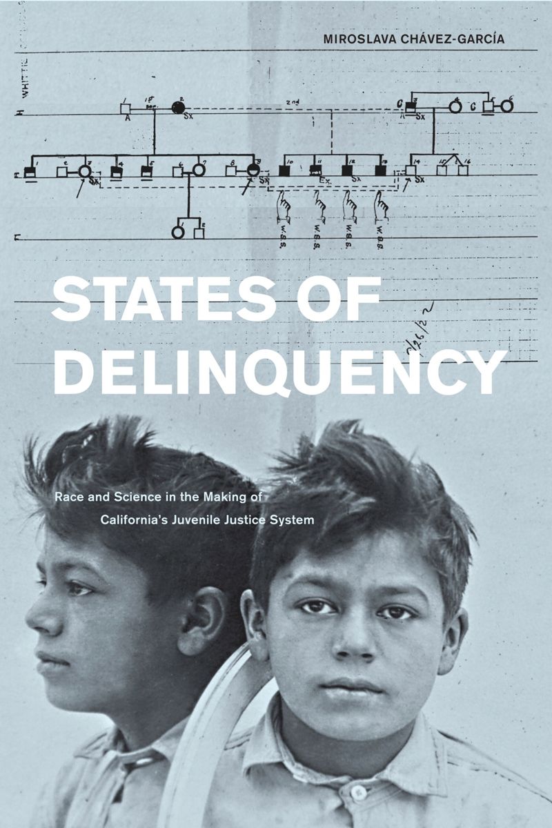 book: States of Delinquency