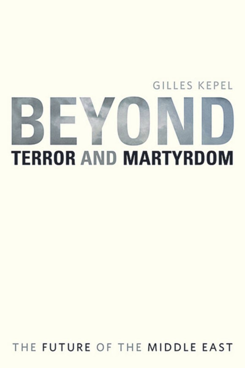 book: Beyond Terror and Martyrdom