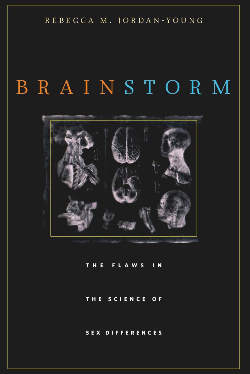 book: Brain Storm