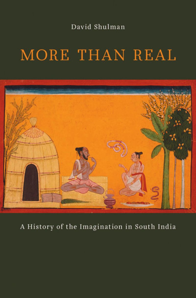 book: More than Real