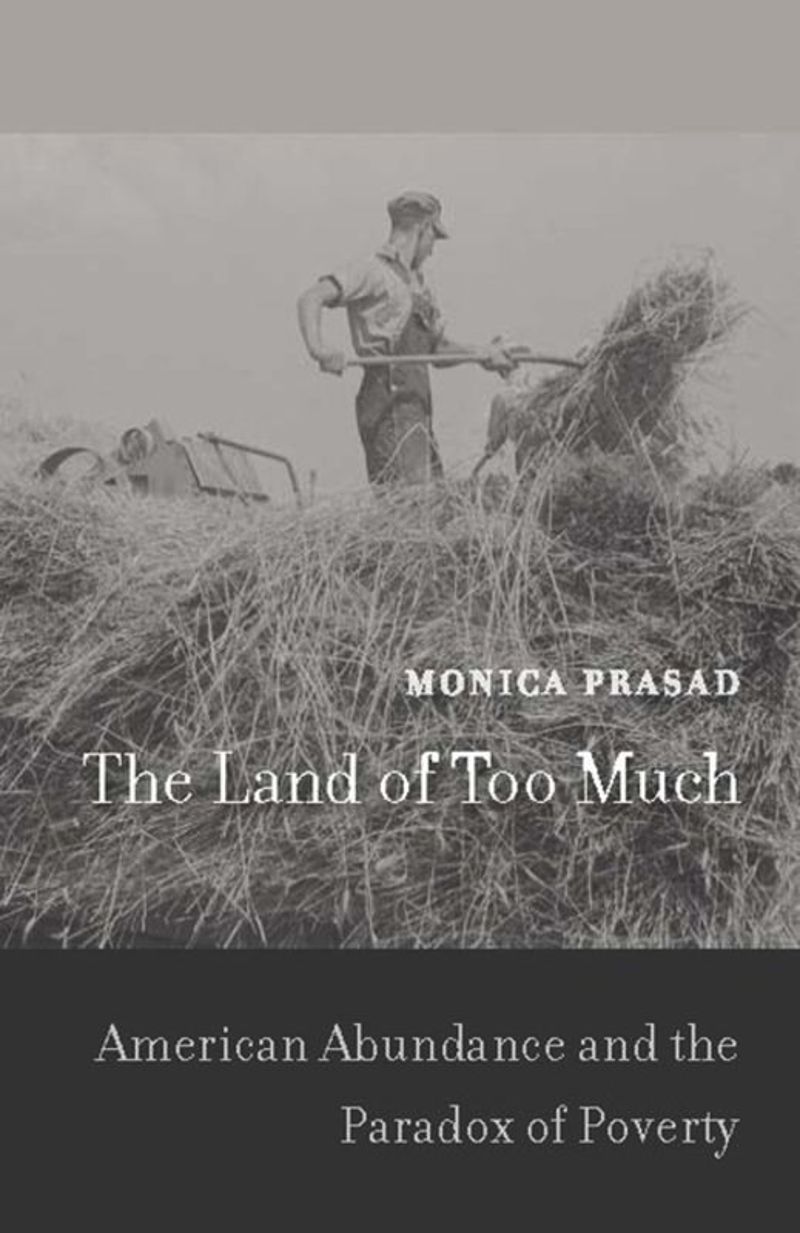 book: The Land of Too Much
