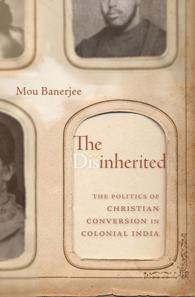book: The Disinherited