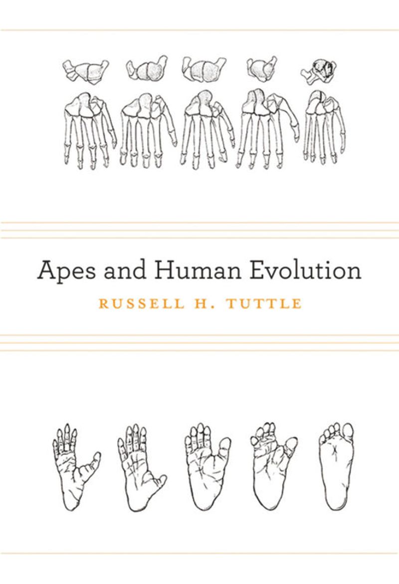 book: Apes and Human Evolution