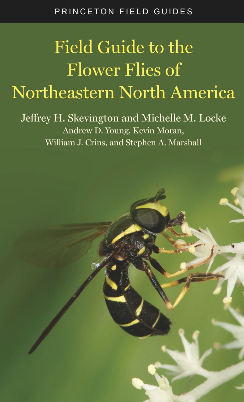book: Field Guide to the Flower Flies of Northeastern North America