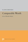 book: Comparable Worth