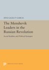 book: The Menshevik Leaders in the Russian Revolution