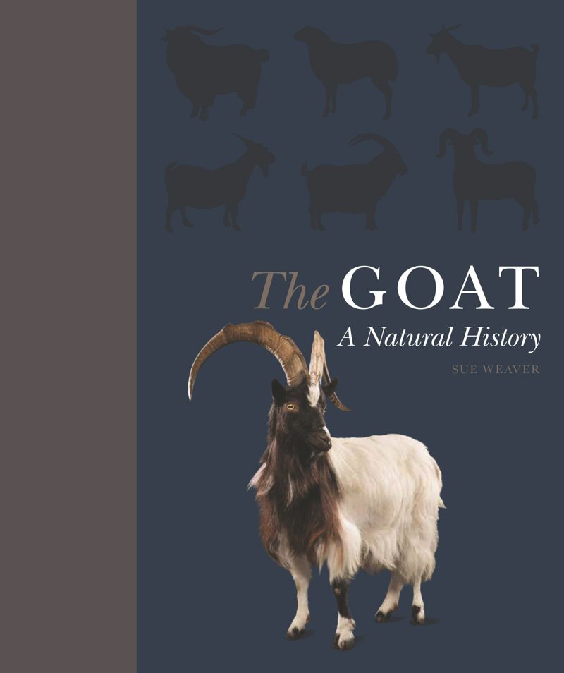 book: The Goat