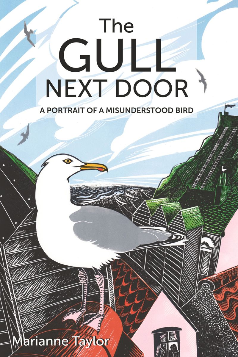 book: The Gull Next Door