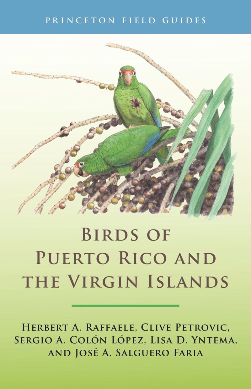 book: Birds of Puerto Rico and the Virgin Islands