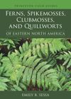 book: Ferns, Spikemosses, Clubmosses, and Quillworts of Eastern North America
