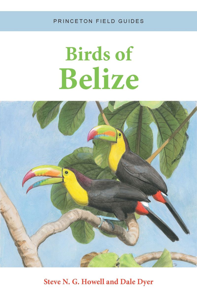 book: Birds of Belize