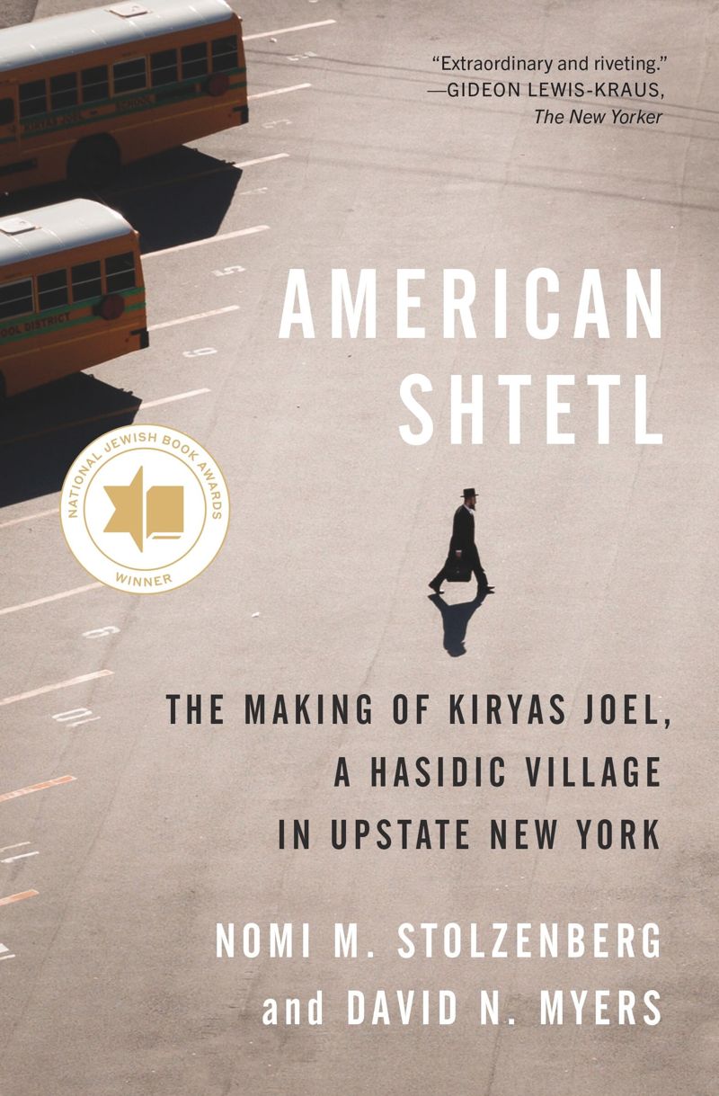 book: American Shtetl