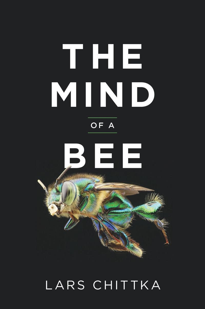 book: The Mind of a Bee