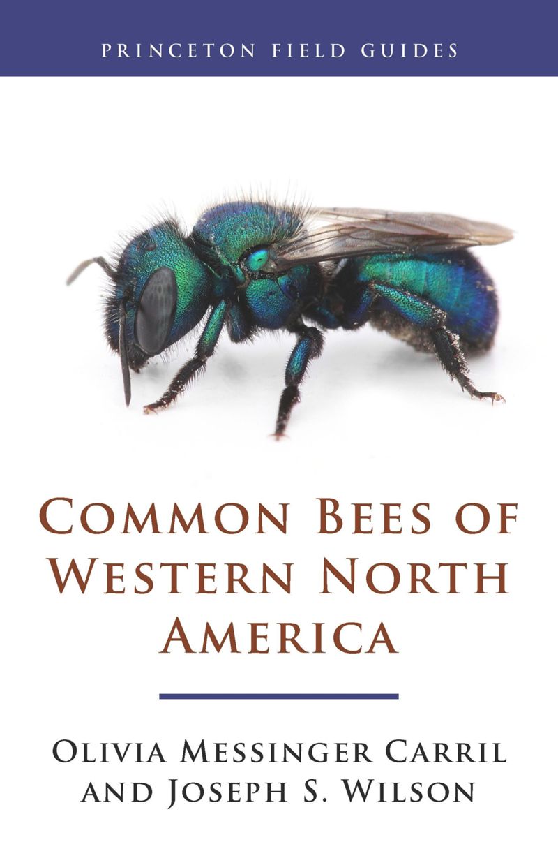 book: Common Bees of Western North America