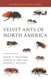 book: Velvet Ants of North America
