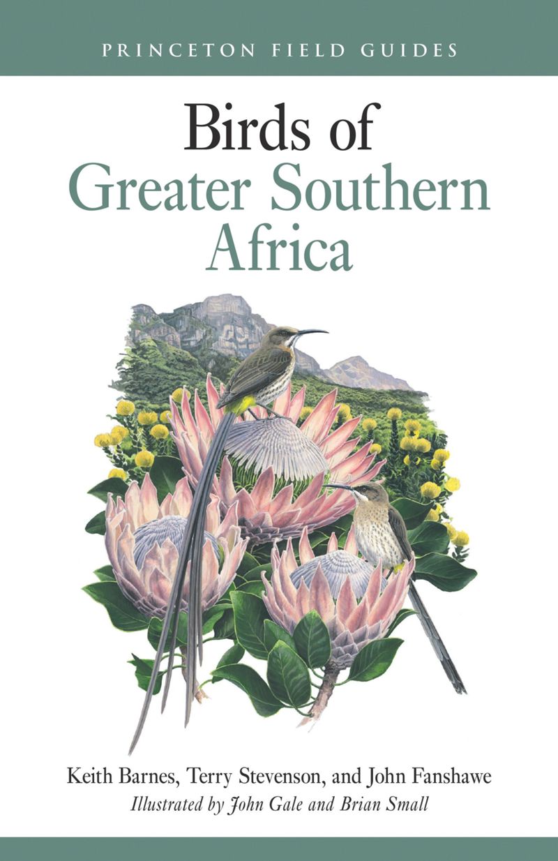 book: Birds of Greater Southern Africa