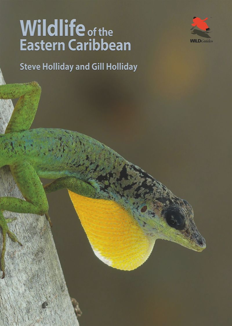 book: Wildlife of the Eastern Caribbean