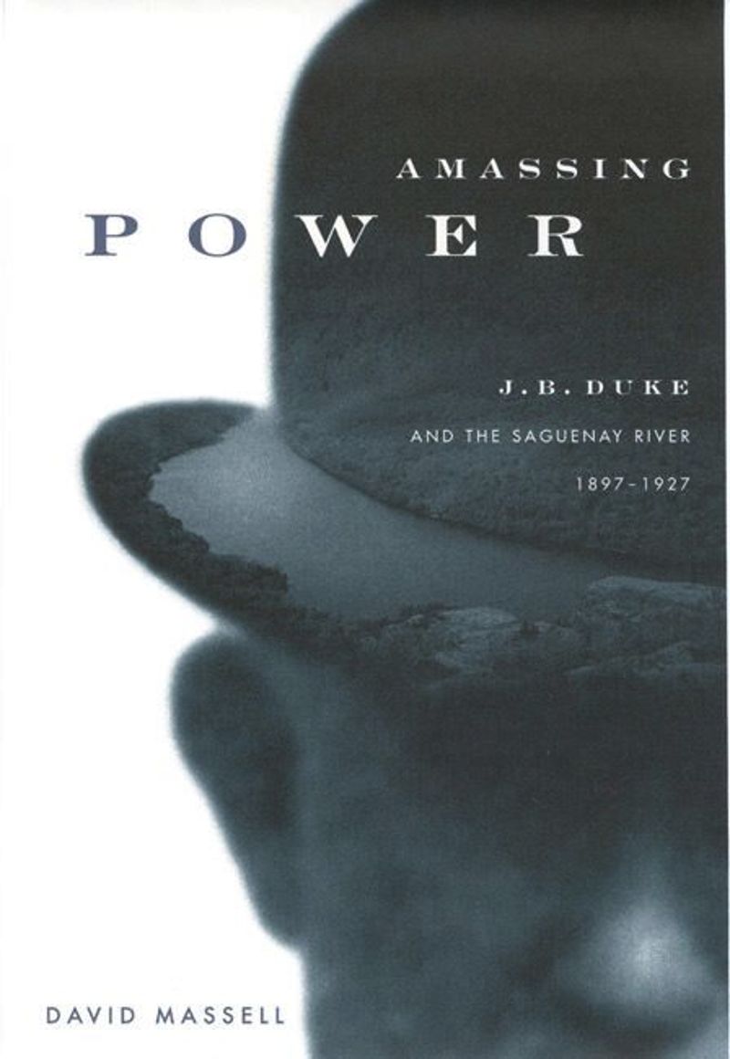 book: Amassing Power