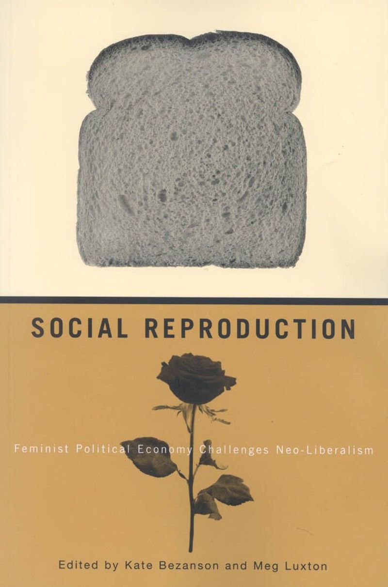 book: Social Reproduction